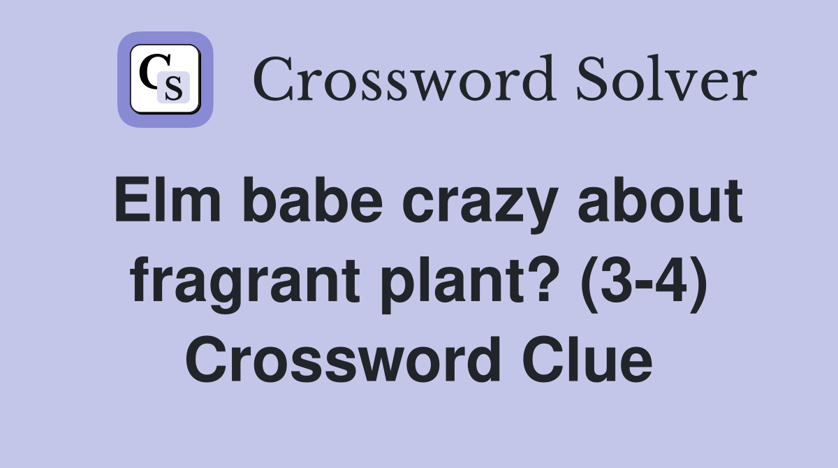 Elm babe crazy about fragrant plant? (3-4) Crossword Clue