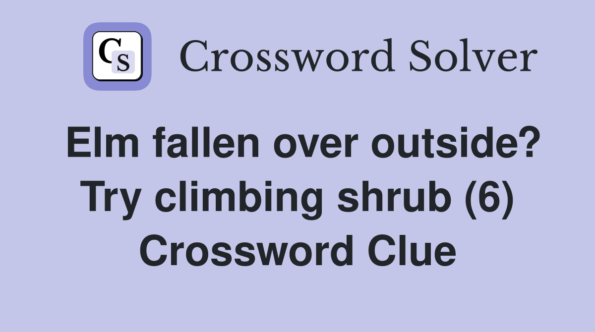 Elm fallen over outside? Try climbing shrub (6) Crossword Clue