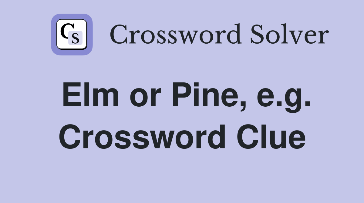 Elm or Pine, e.g. Crossword Clue