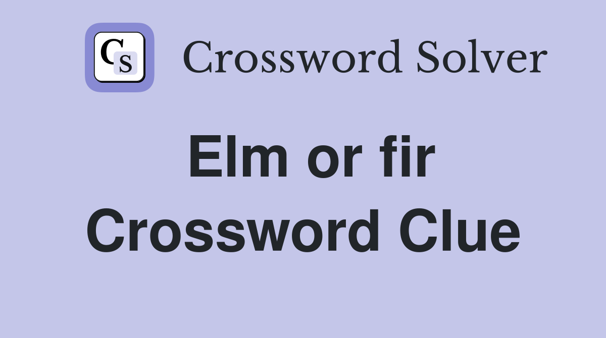 Elm or fir Crossword Clue