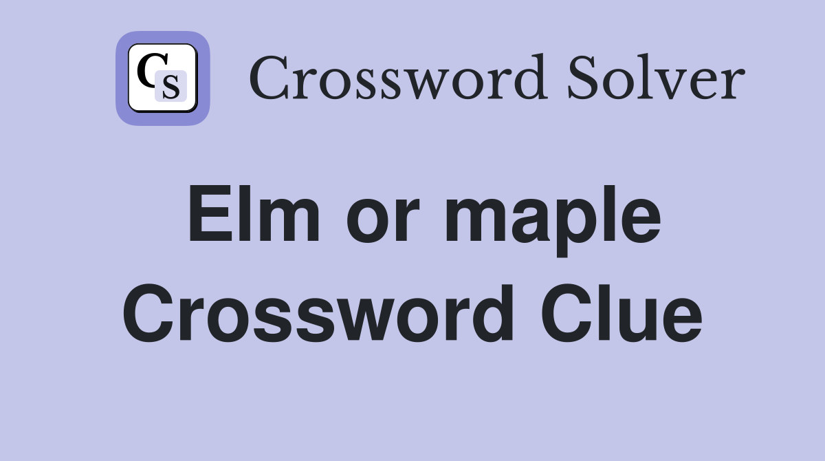 Elm or maple Crossword Clue