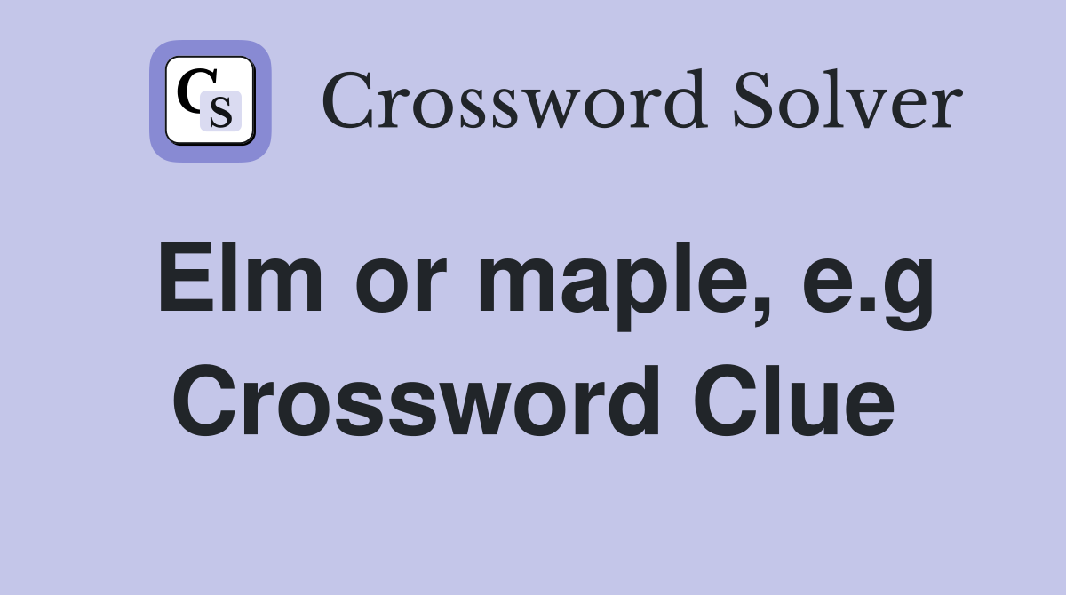 Elm or maple, e.g Crossword Clue