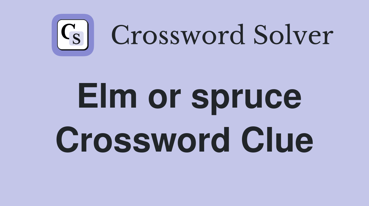 Elm or spruce Crossword Clue