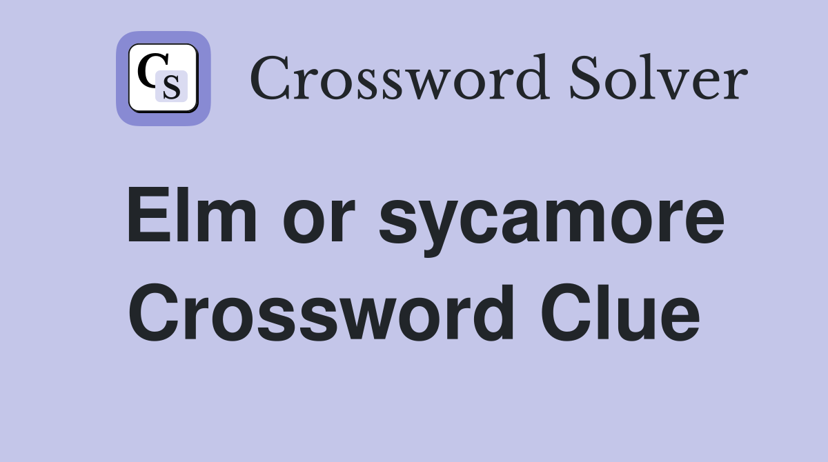 Elm or sycamore Crossword Clue