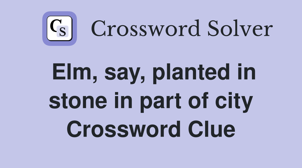 Elm, say, planted in stone in part of city Crossword Clue