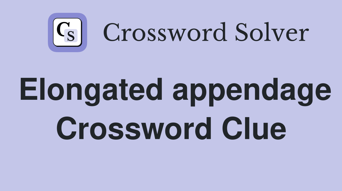 Elongated appendage Crossword Clue