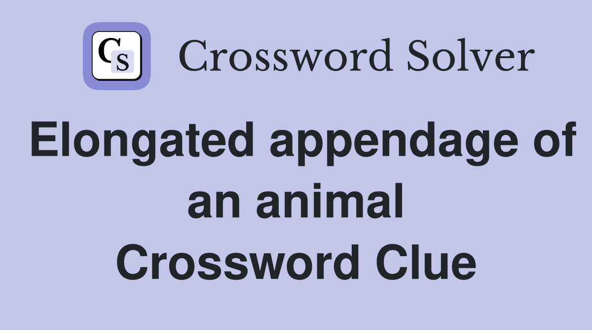 Elongated appendage of an animal Crossword Clue
