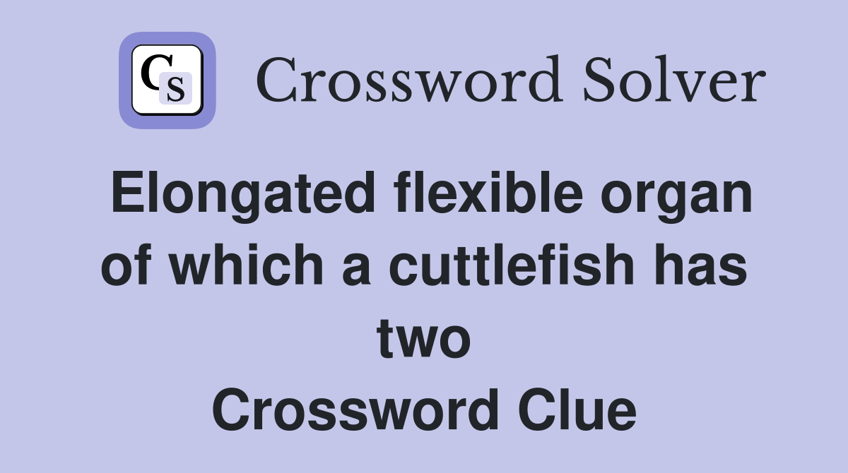 Elongated flexible organ of which a cuttlefish has two Crossword Clue