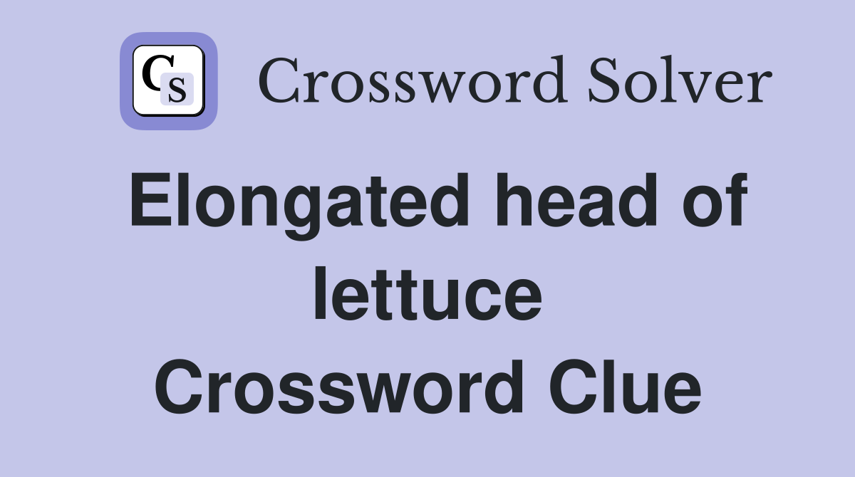 Elongated head of lettuce Crossword Clue