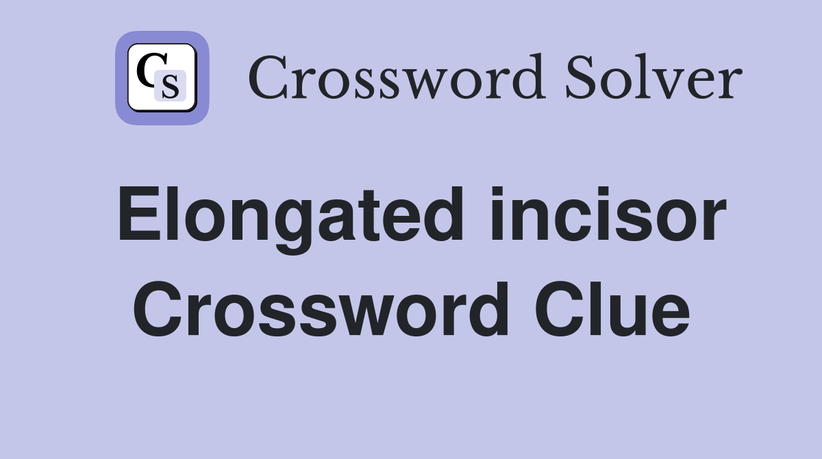 Elongated incisor Crossword Clue