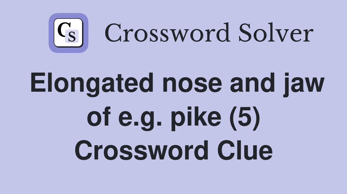 Elongated nose and jaw of e.g. pike (5) Crossword Clue