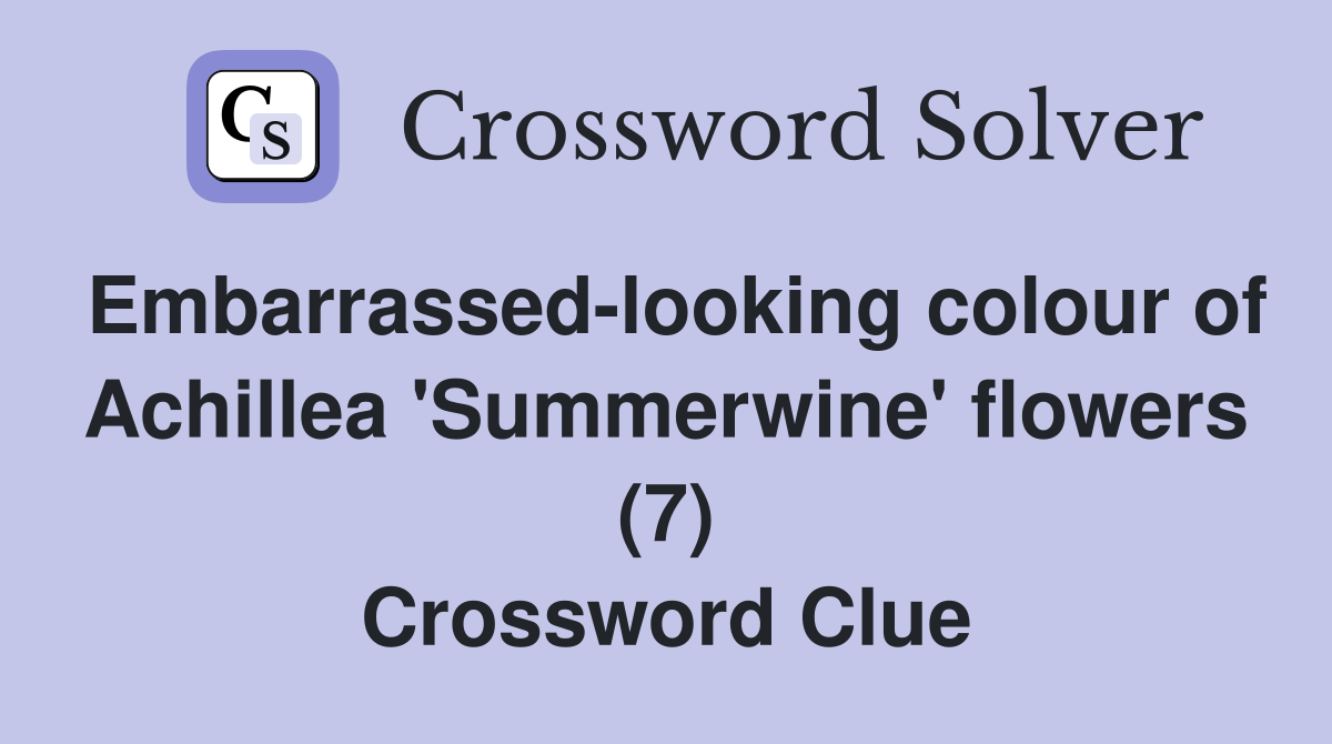 Embarrassed-looking colour of Achillea 'Summerwine' flowers (7) Crossword Clue
