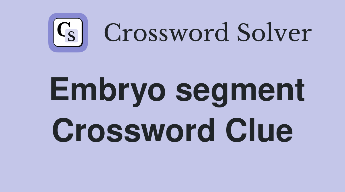 Embryo segment Crossword Clue