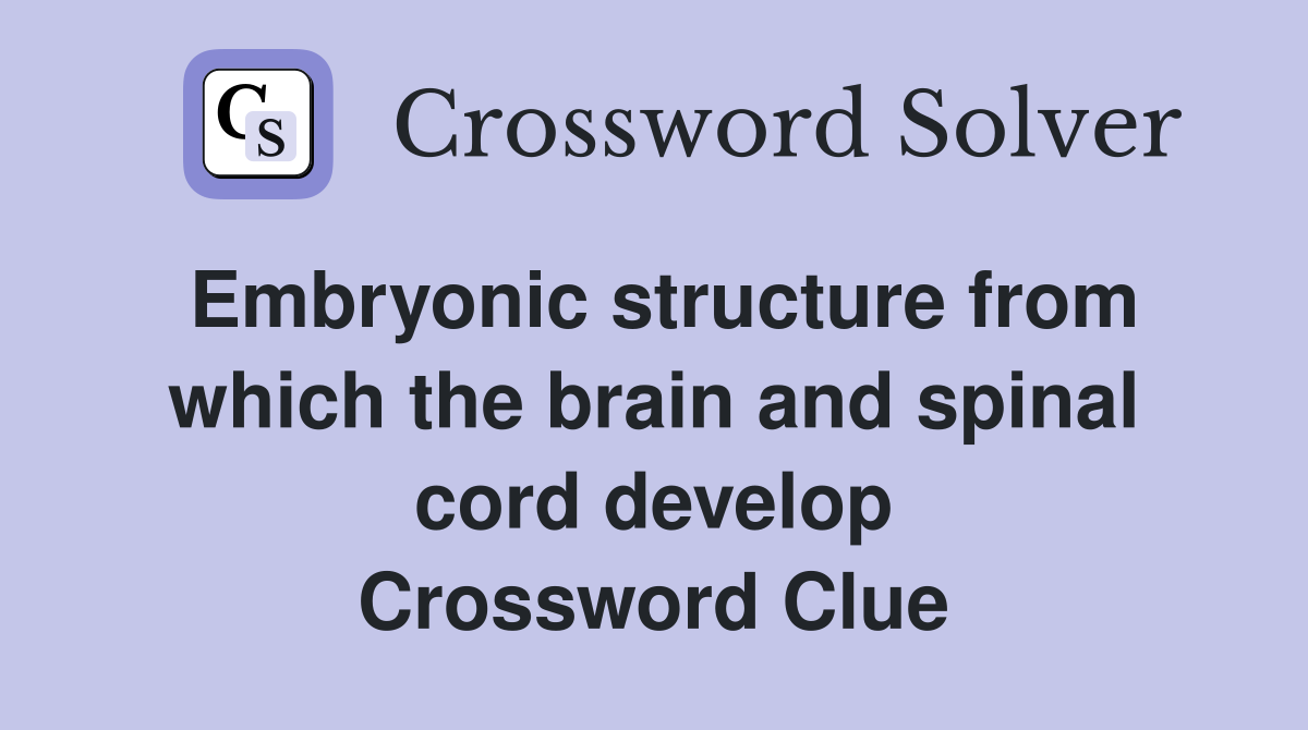 Embryonic structure from which the brain and spinal cord develop Crossword Clue