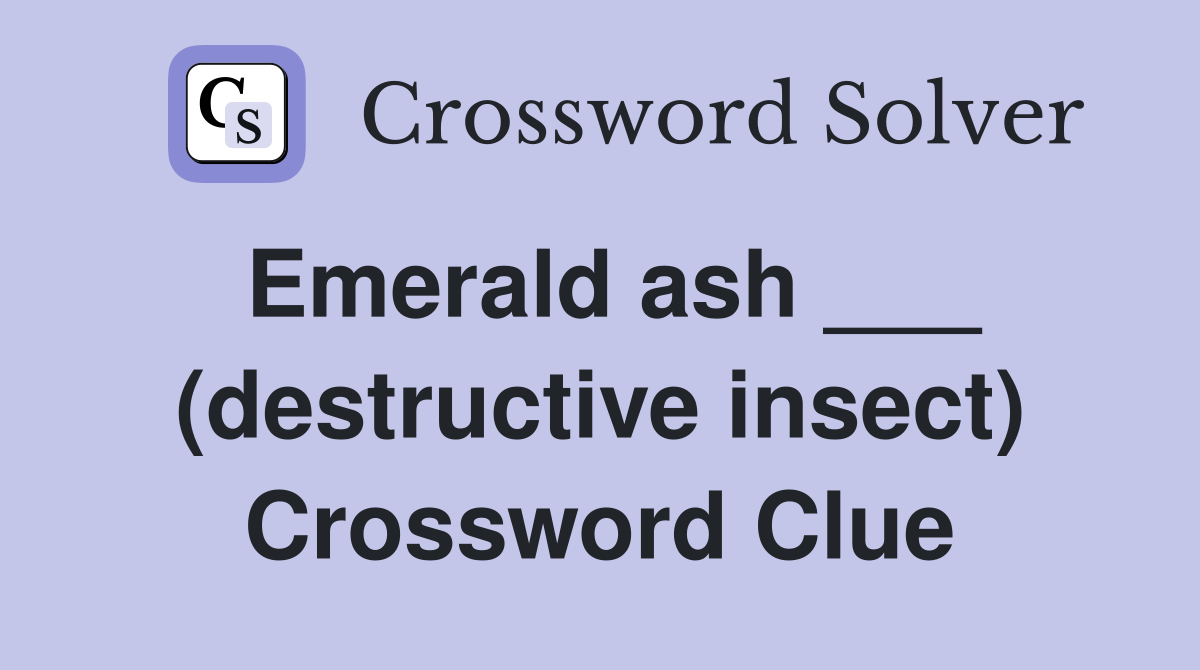 Emerald ash ___ (destructive insect) Crossword Clue