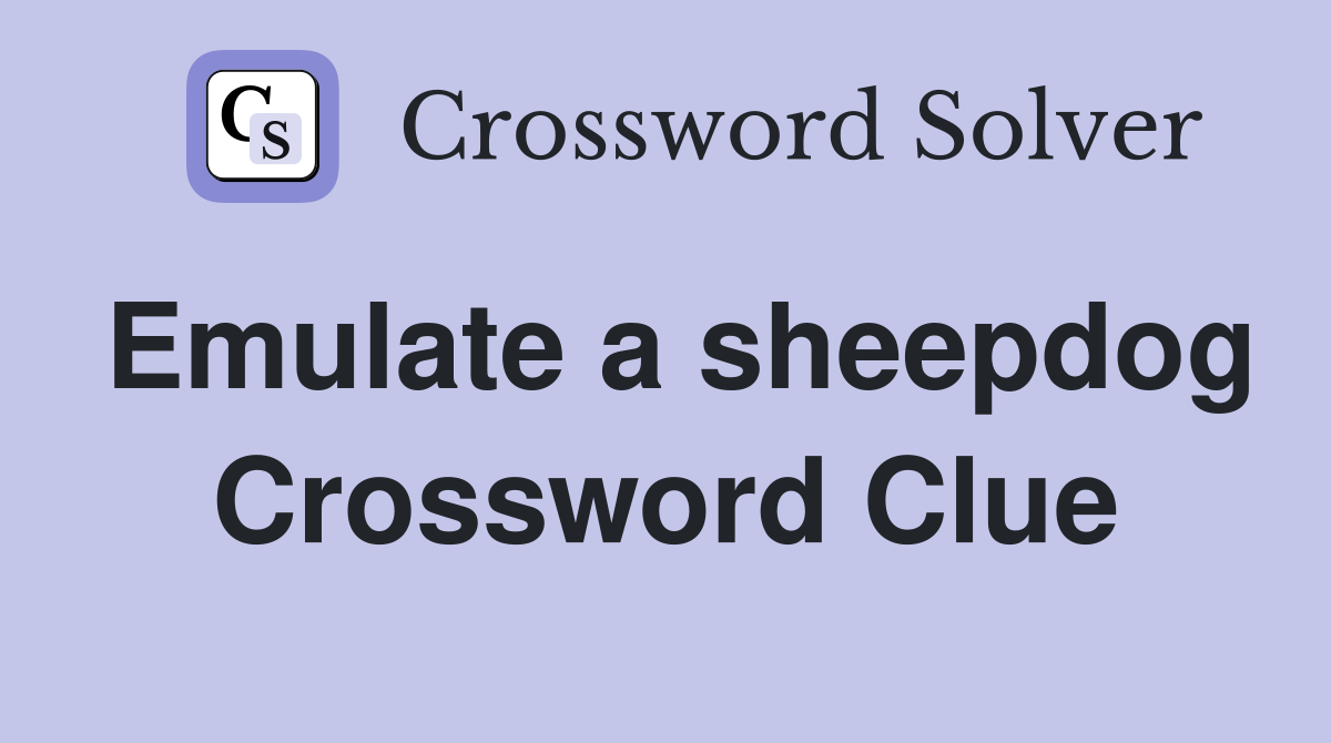 Emulate a sheepdog Crossword Clue