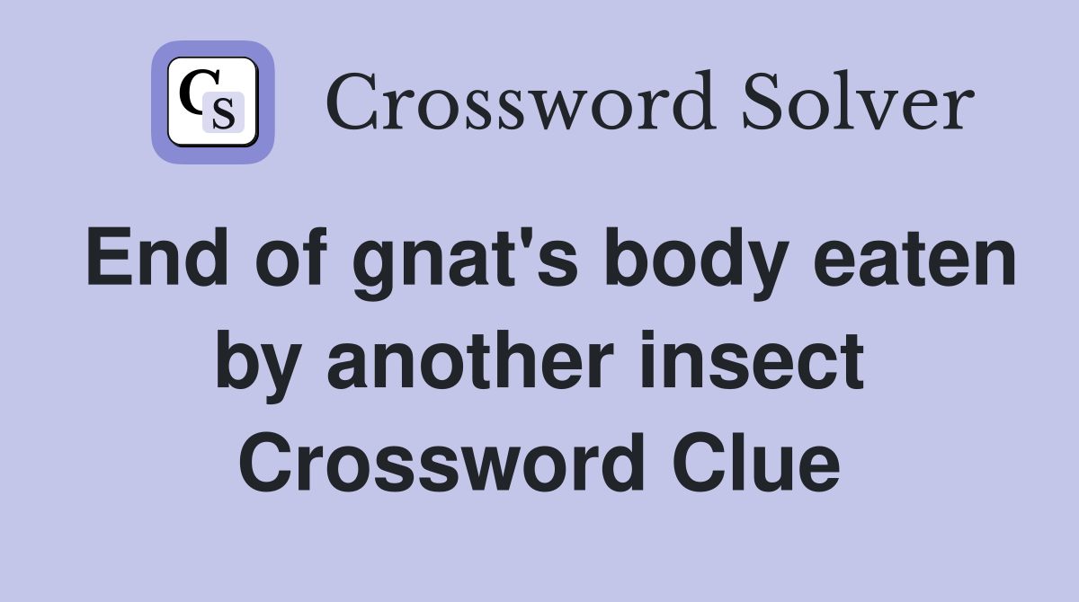 End of gnat's body eaten by another insect Crossword Clue