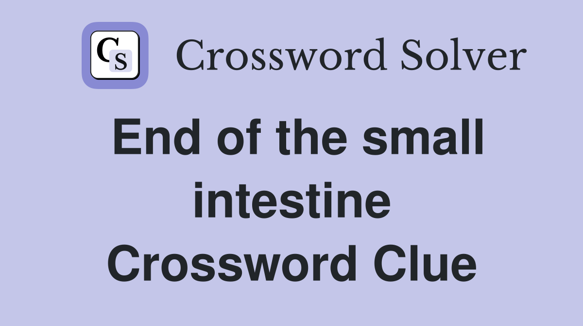 End of the small intestine Crossword Clue