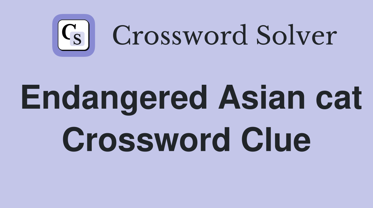 Endangered Asian cat Crossword Clue