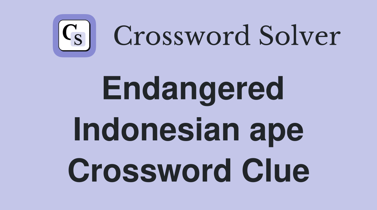 Endangered Indonesian ape Crossword Clue