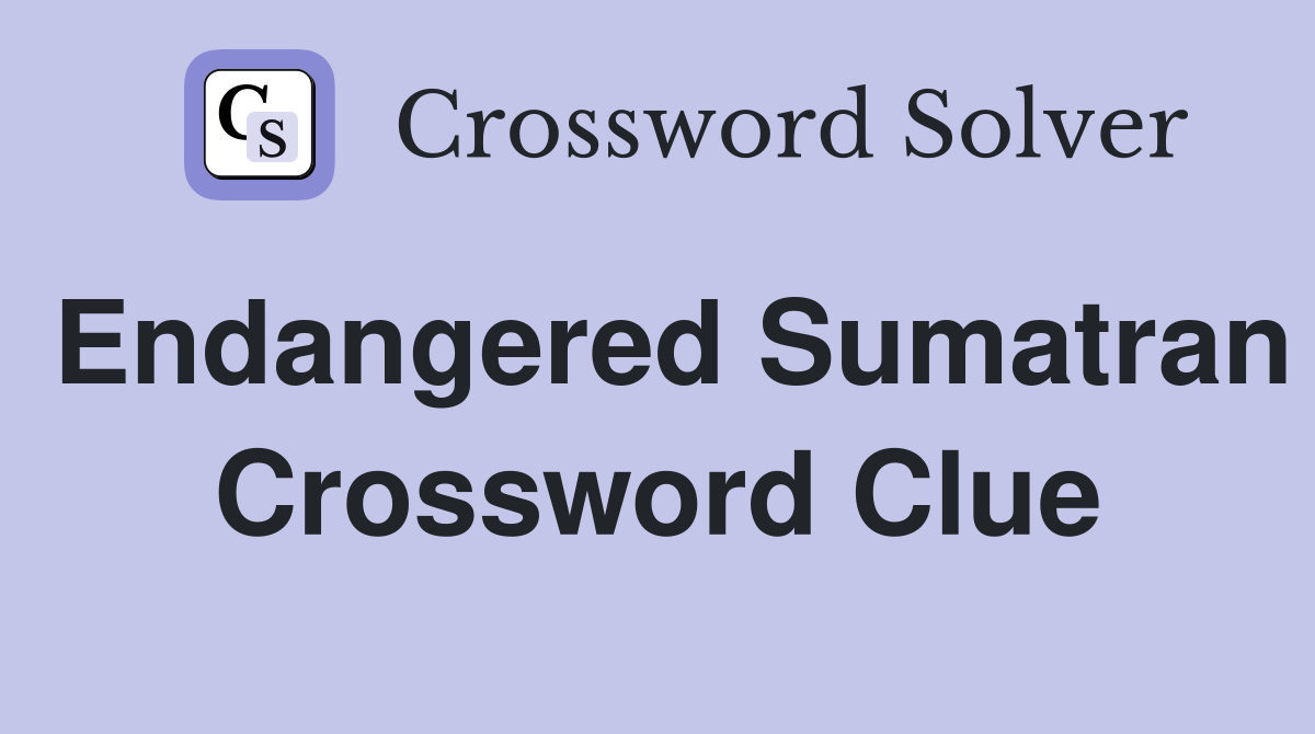 Endangered Sumatran Crossword Clue