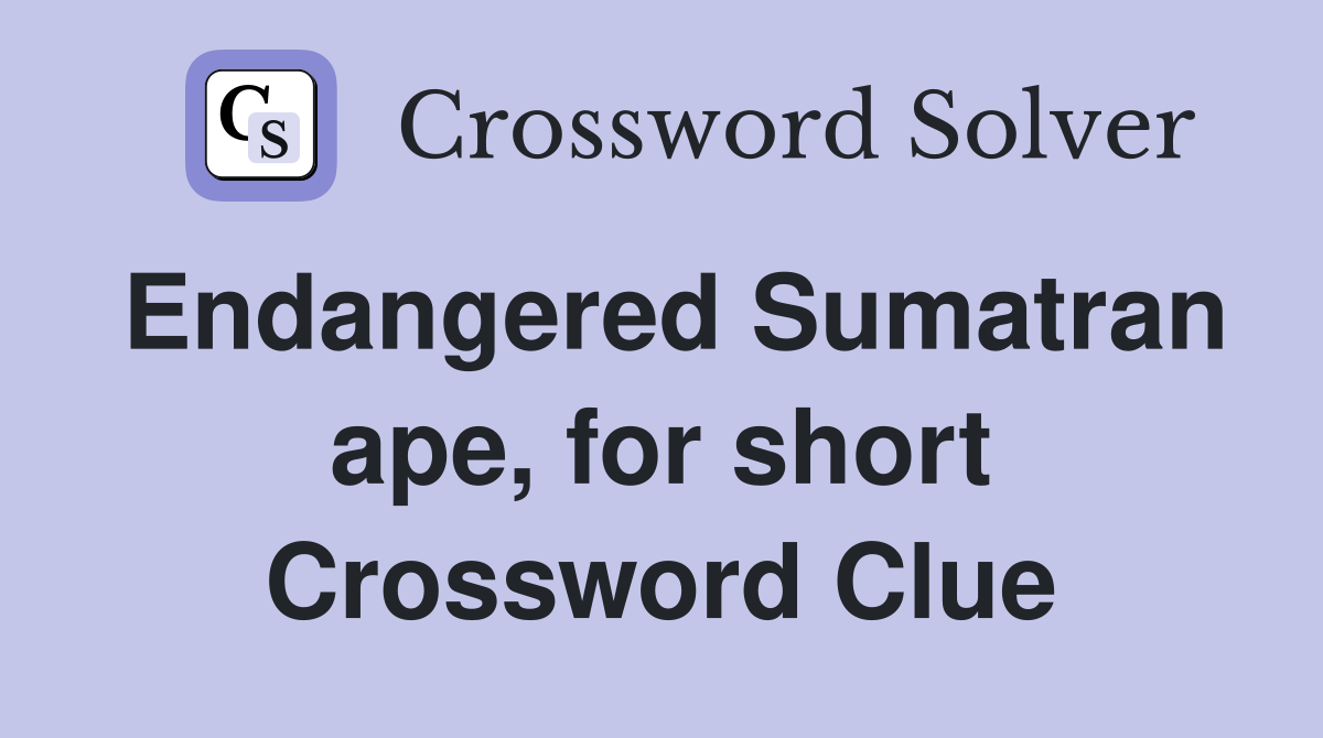 Endangered Sumatran ape, for short Crossword Clue