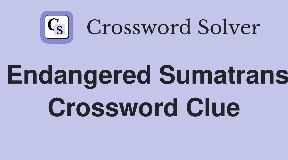 Endangered Sumatrans Crossword Clue