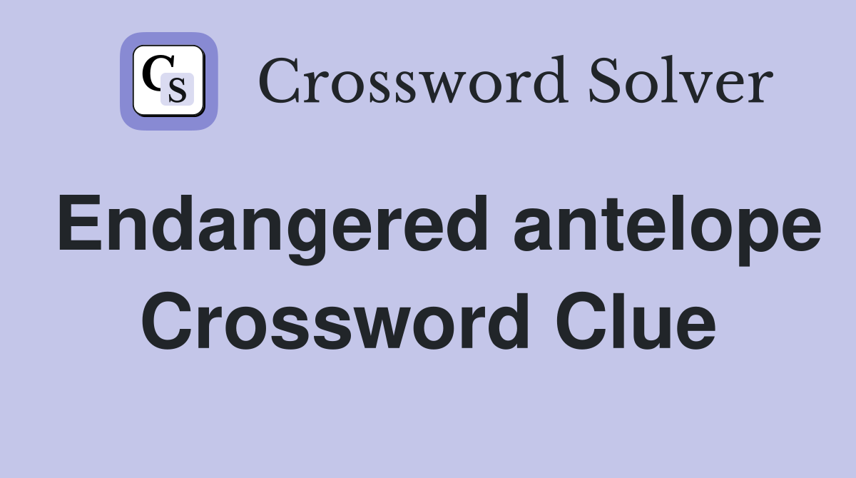 Endangered antelope Crossword Clue