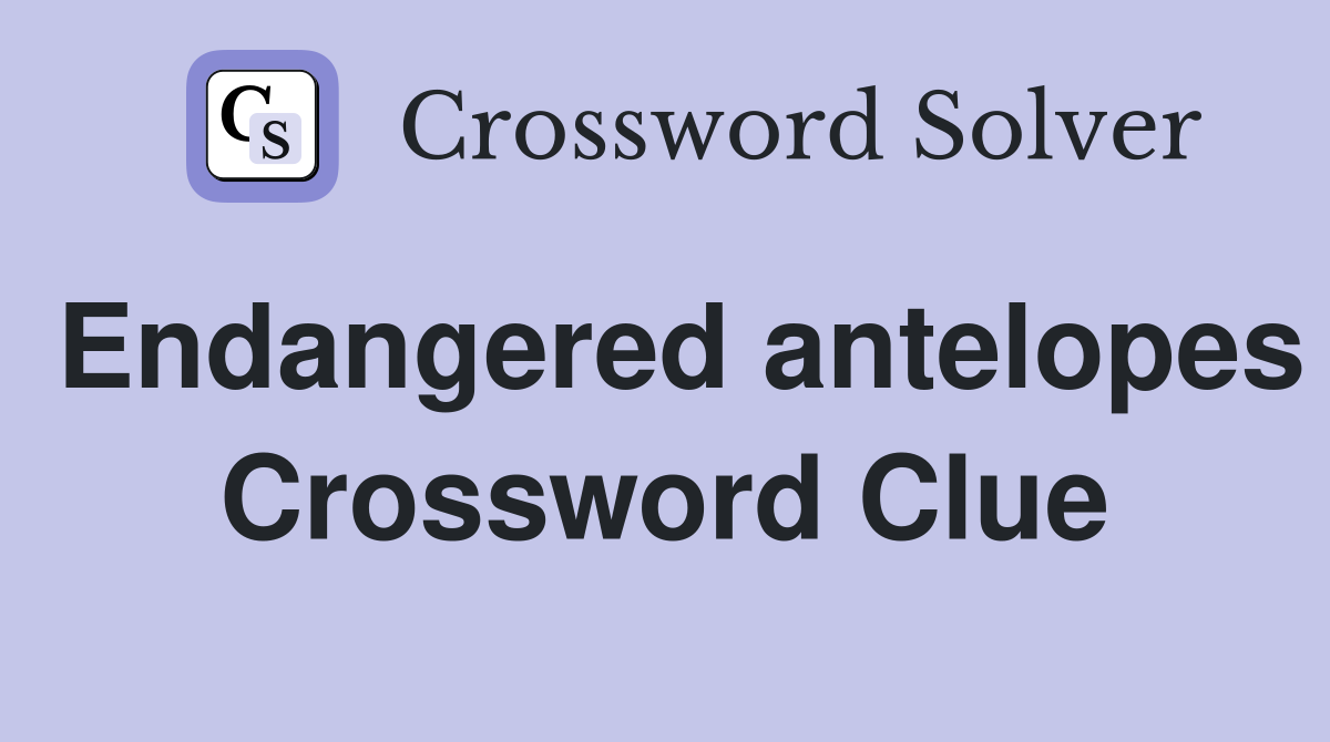 Endangered antelopes Crossword Clue