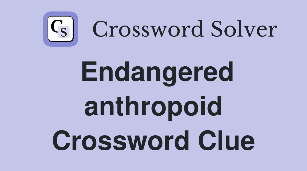 Endangered anthropoid Crossword Clue