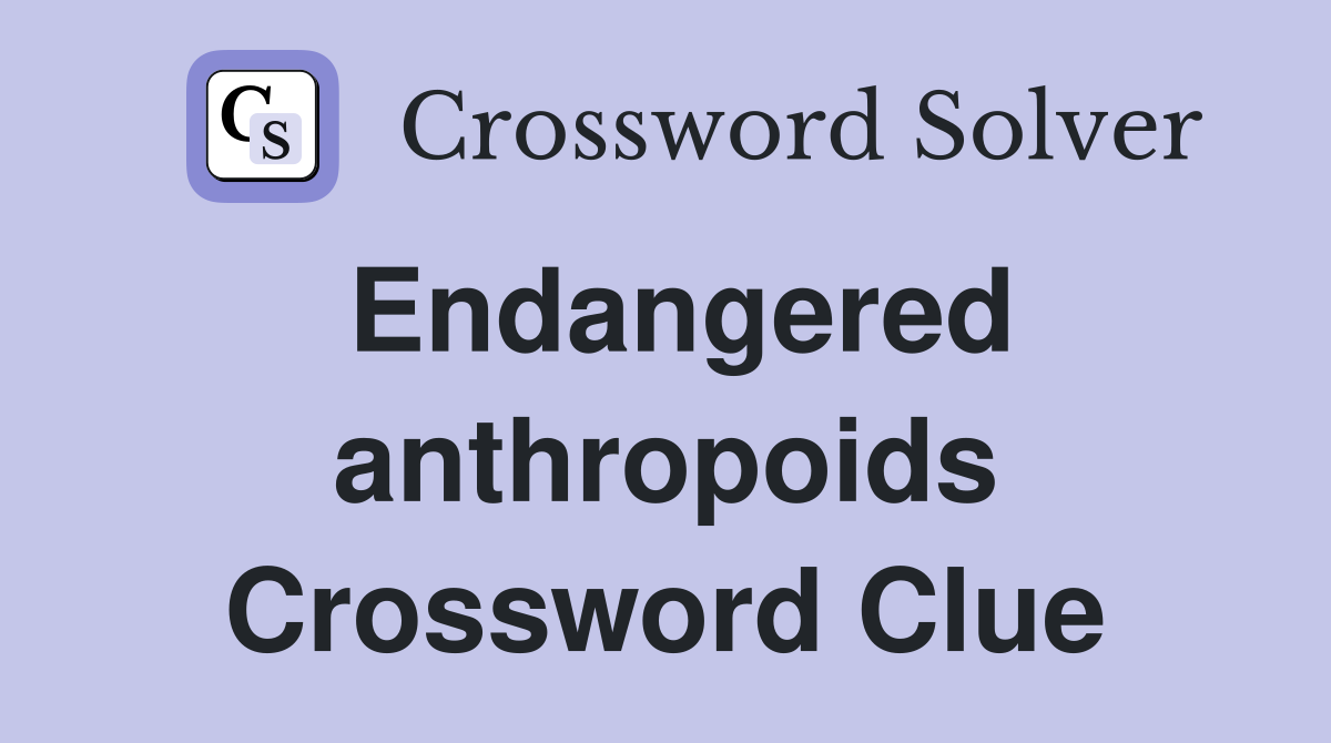 Endangered anthropoids Crossword Clue