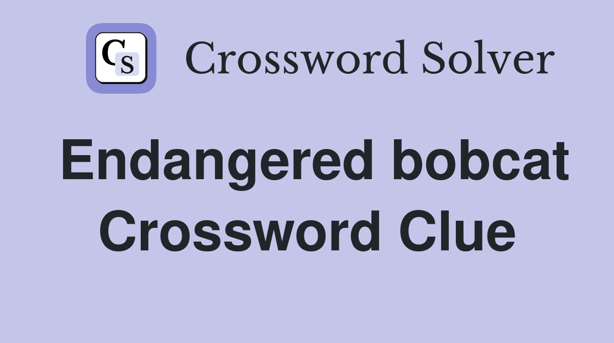 Endangered bobcat Crossword Clue