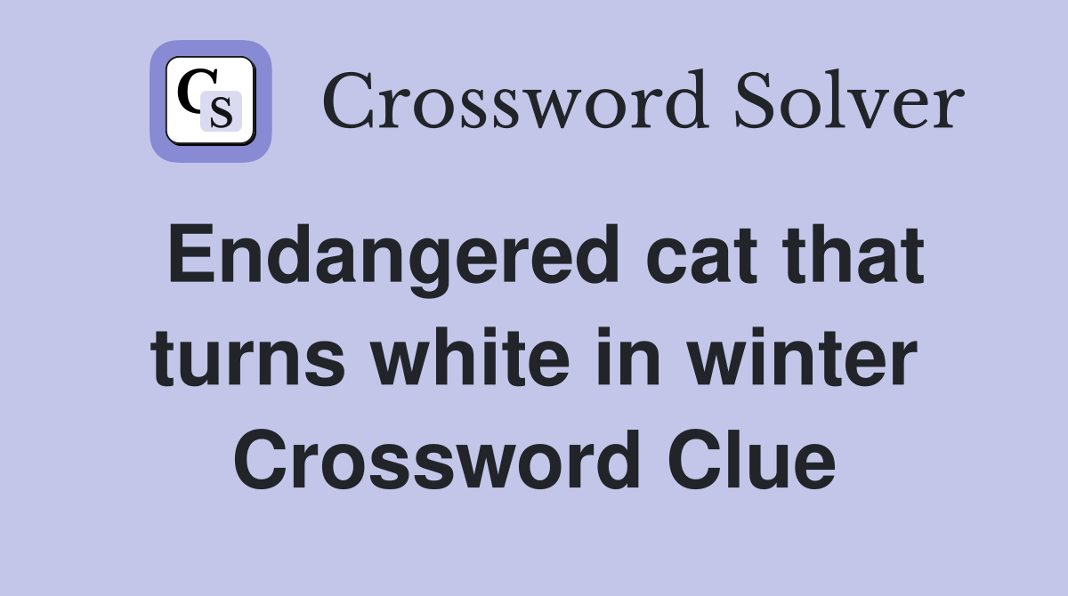 Endangered cat that turns white in winter Crossword Clue