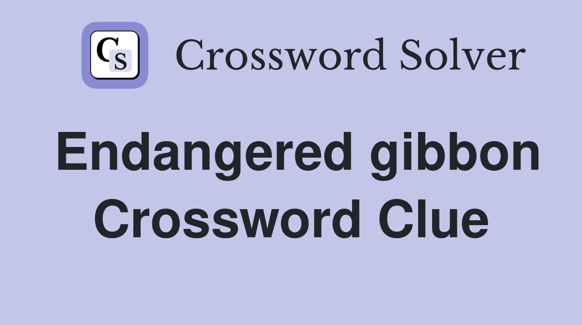 Endangered gibbon Crossword Clue