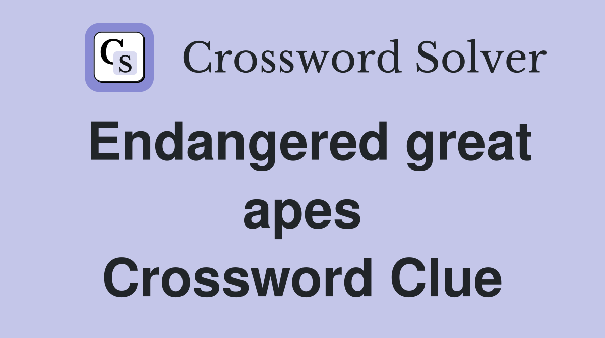 Endangered great apes Crossword Clue