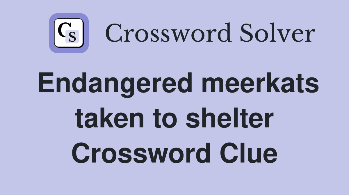 Endangered meerkats taken to shelter Crossword Clue
