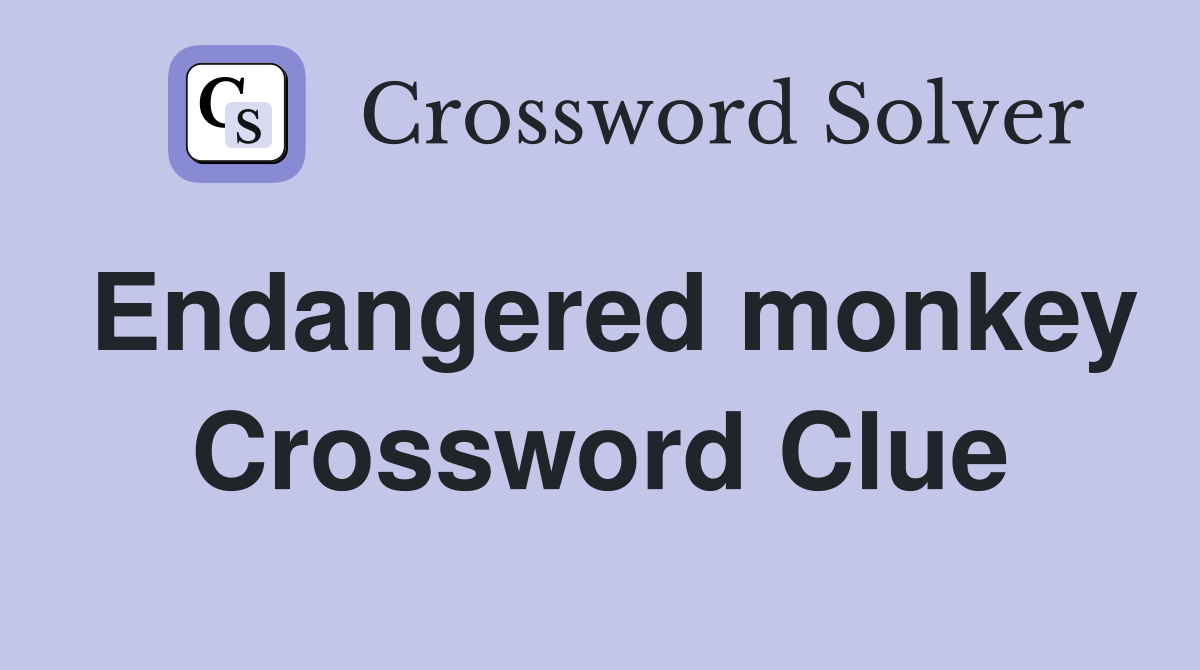 Endangered monkey Crossword Clue