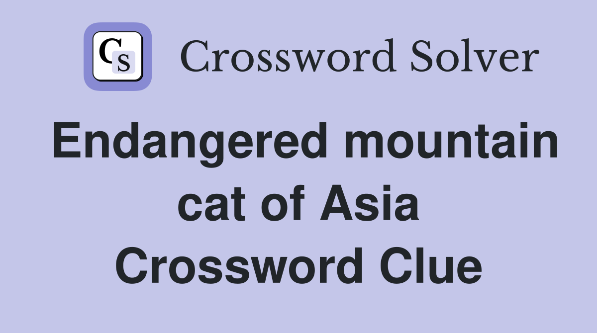Endangered mountain cat of Asia Crossword Clue