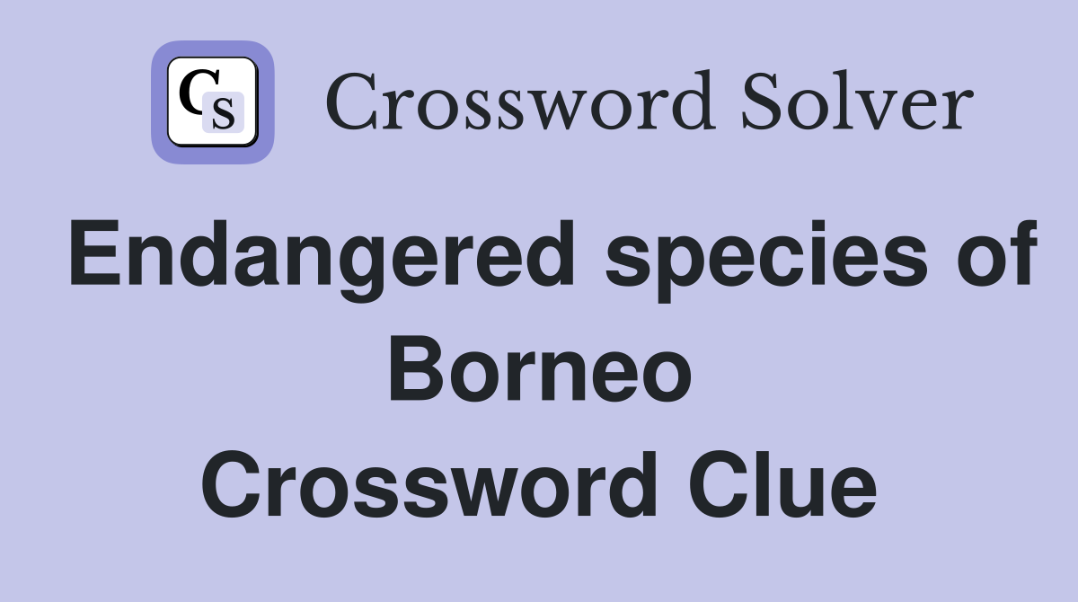 Endangered species of Borneo Crossword Clue