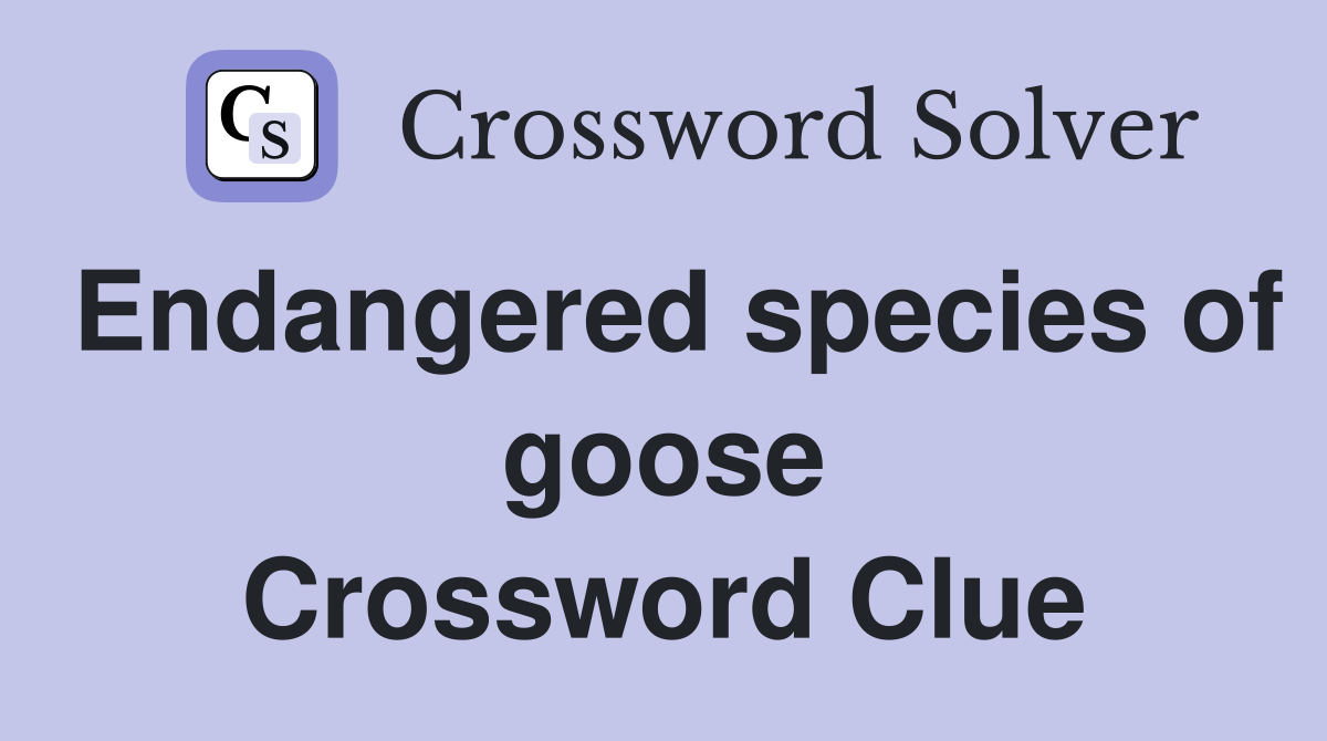 Endangered species of goose Crossword Clue