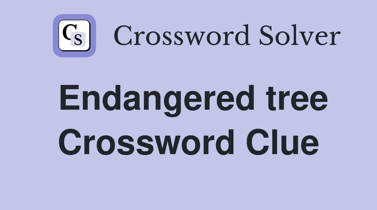 Endangered tree Crossword Clue