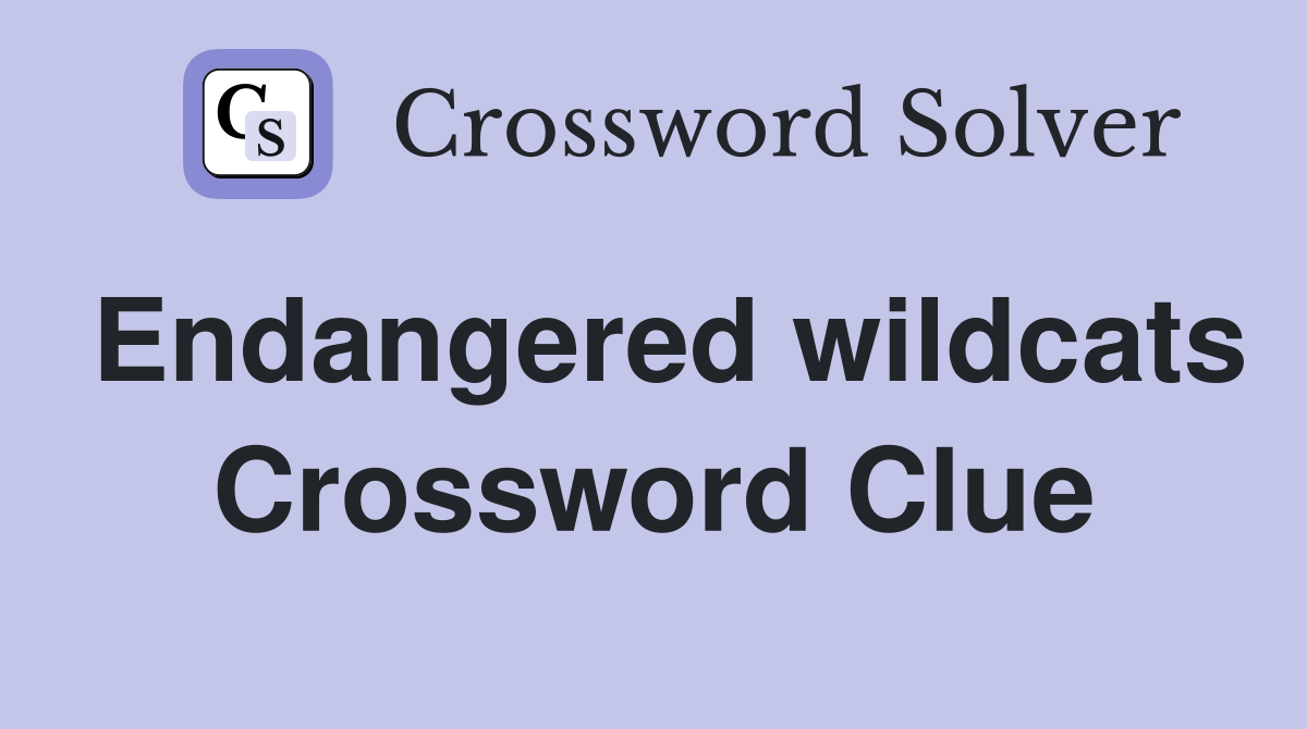 Endangered wildcats Crossword Clue