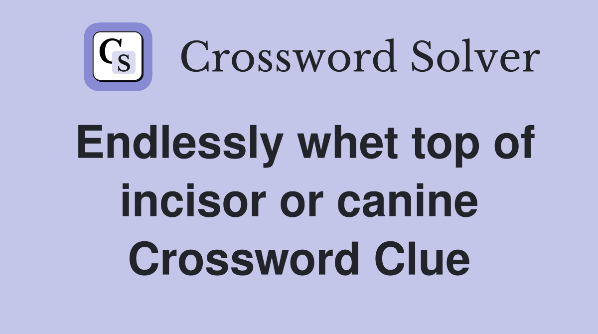Endlessly whet top of incisor or canine Crossword Clue