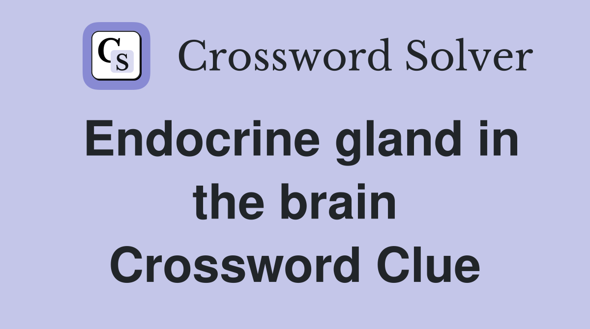 Endocrine gland in the brain Crossword Clue