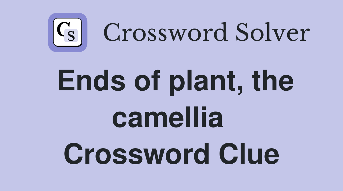 Ends of plant, the camellia  Crossword Clue