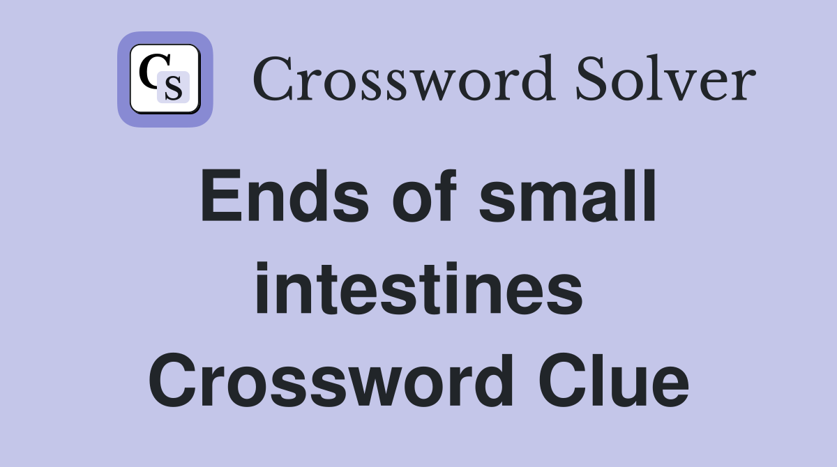 Ends of small intestines Crossword Clue