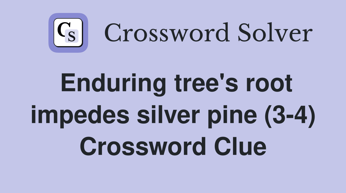 Enduring tree's root impedes silver pine (3-4) Crossword Clue