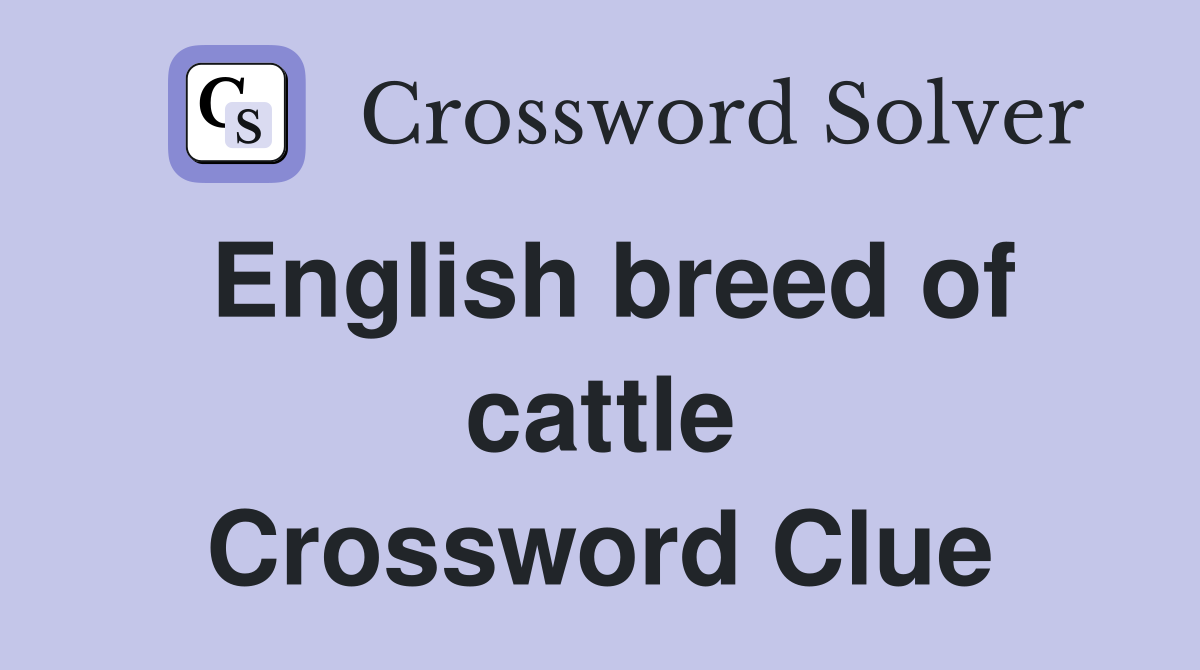 English breed of cattle Crossword Clue