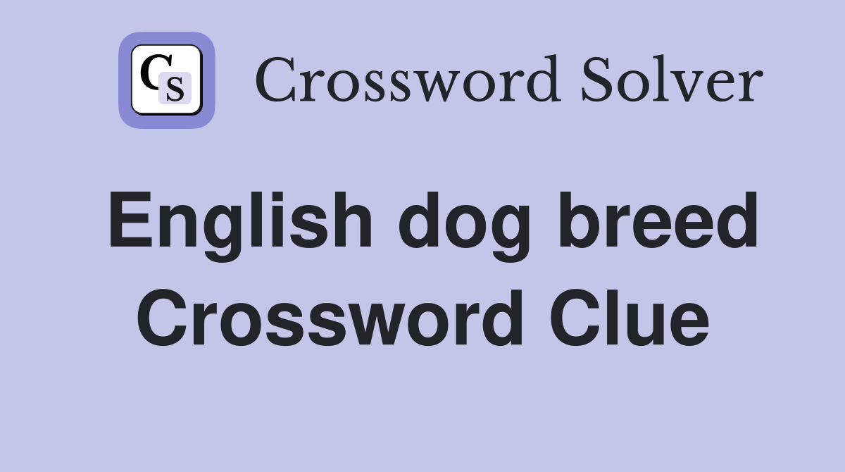 English dog breed Crossword Clue