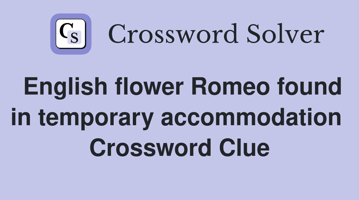 English flower Romeo found in temporary accommodation  Crossword Clue